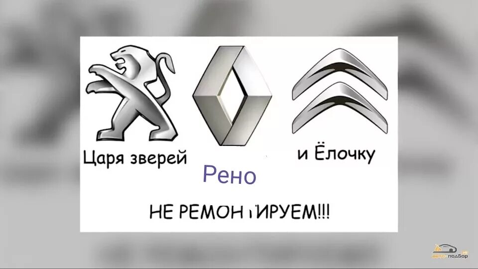 Renault львов. Пежо Рено Ситроен не ремонтируем. Царя зверей не ремонтируем. Царя зверей и елку не ремонтируем. Рено Пежо Ситроен прикол.