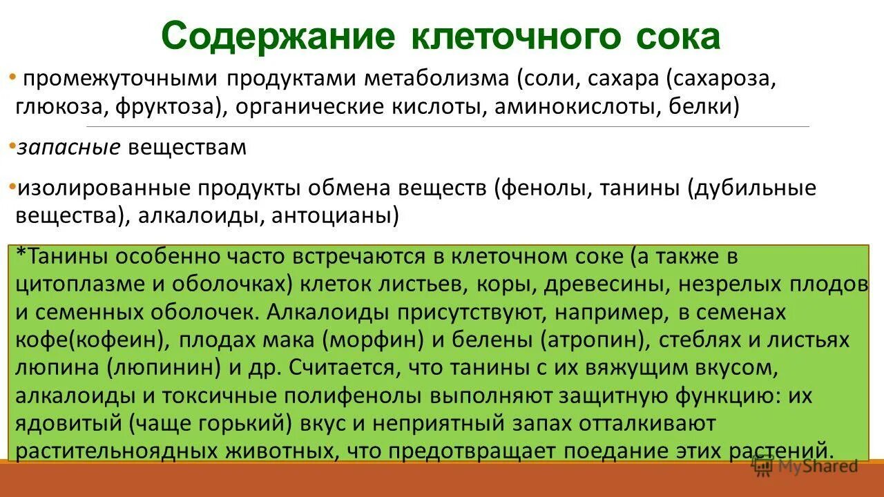 вакуоль растительной клетки 5 класс биология. состав клеточного сока вакуоли. есть вакуоль с клеточным соком. функция клеточного сока в растительной клетке. содержимое клеточного сока.