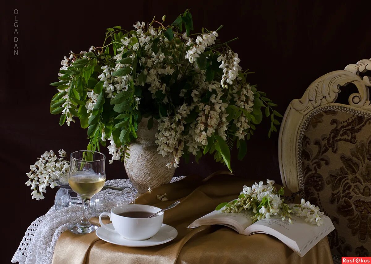 романс белой акации. акации гроздья душистые. гроздья акации. сад весь умыт был весенними ливнями. романс белые гроздья.