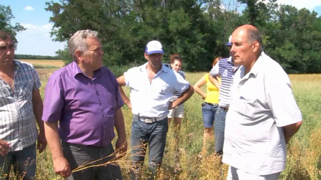 Елизаветинская 7. Тарасовский. Ооо донская нива. Донская нива ростовская область. Донская нива ростовская область.