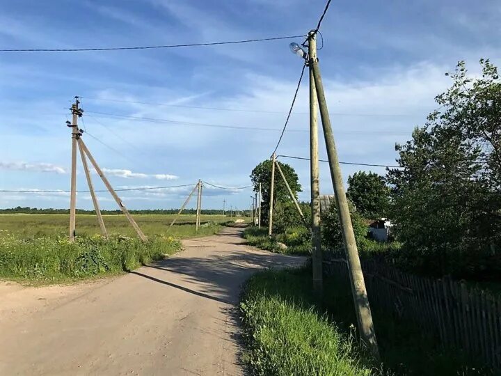 Пос тайцы. Посёлок городского типа Тайцы. Тайцы улица Островского. Тайцы Ленинградская область. Участки Тайцы.