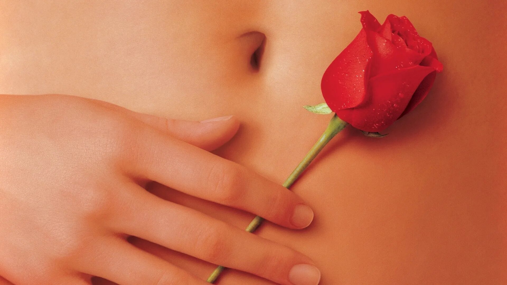 Красота по-американски (American Beauty (1999)) Постер. American Beauty 1999 poster. Женский живот цветок. Женская розочка