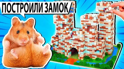 Включи хомячки в лабиринте