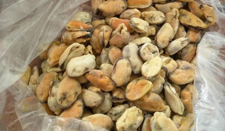 Мидии польза. Мидия. Полезные моллюски. Мидии. Мидии маленькие.