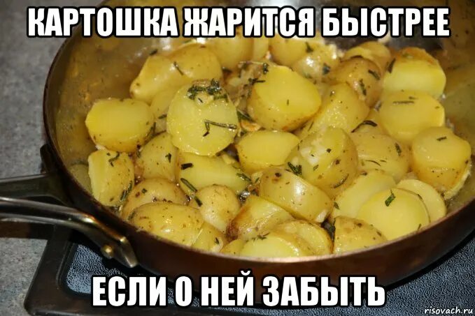 Мем с картошкой. Смешная картошка. картофель мемы. вареный картофель мем. картошечка мем.