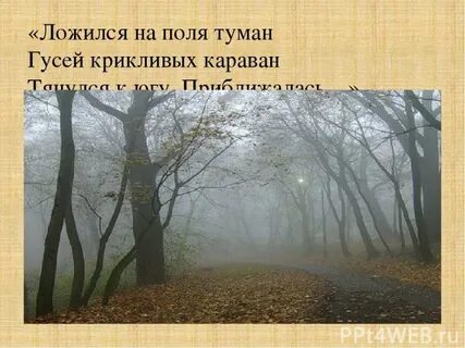 Ложится туман предложение