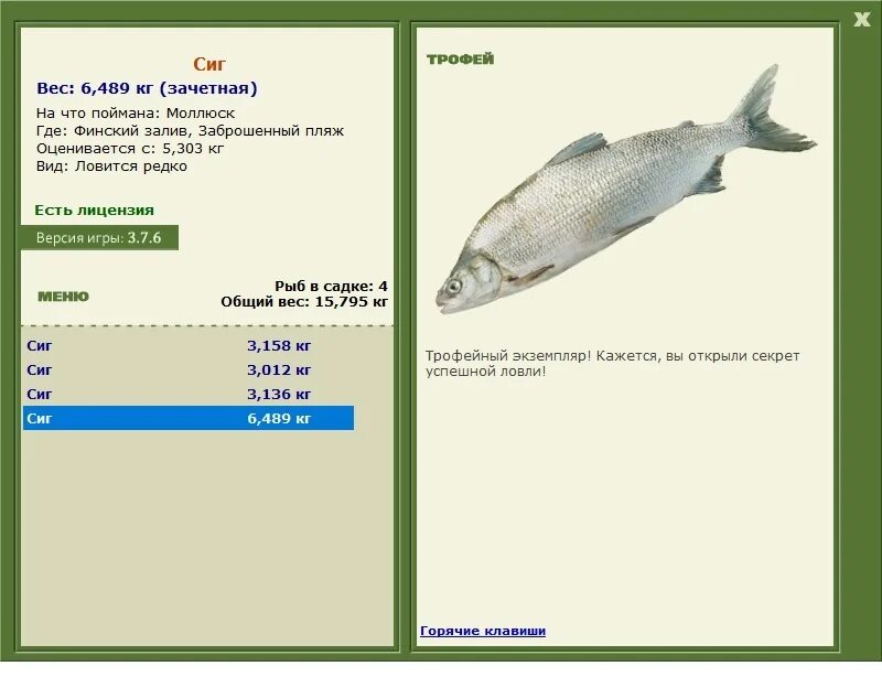 сибирский сиг пыжьян. омуль печорский. семейство сиговых. севанский сиг. сиг молочная рыба.