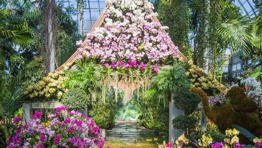 Сингапур ботанический сад. Orchid garden. Ботанический сад бали. Сад орхидей (bali orchid garden)т бали. Orchid garden.
