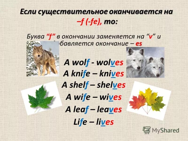 Окончания существительных в английском языке. Окончание множественного числа в английском языке правило. Правило окончаний во множественном числе в английском. Wolf множественное число в английском языке. Окончания существительных во множественном числе в английском языке.