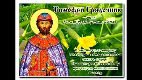 Народный календарь примет на июнь