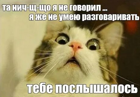 Я тебе еще раз говорю