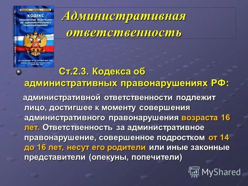 Внесение изменений коап рф. Административное нарушение. Административная ответственность статья. Кодекс об административных правонарушениях. Административаня ответ.