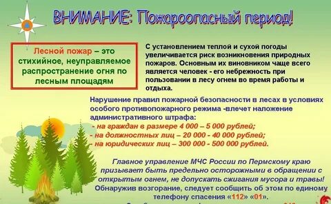 Погодные условия леса