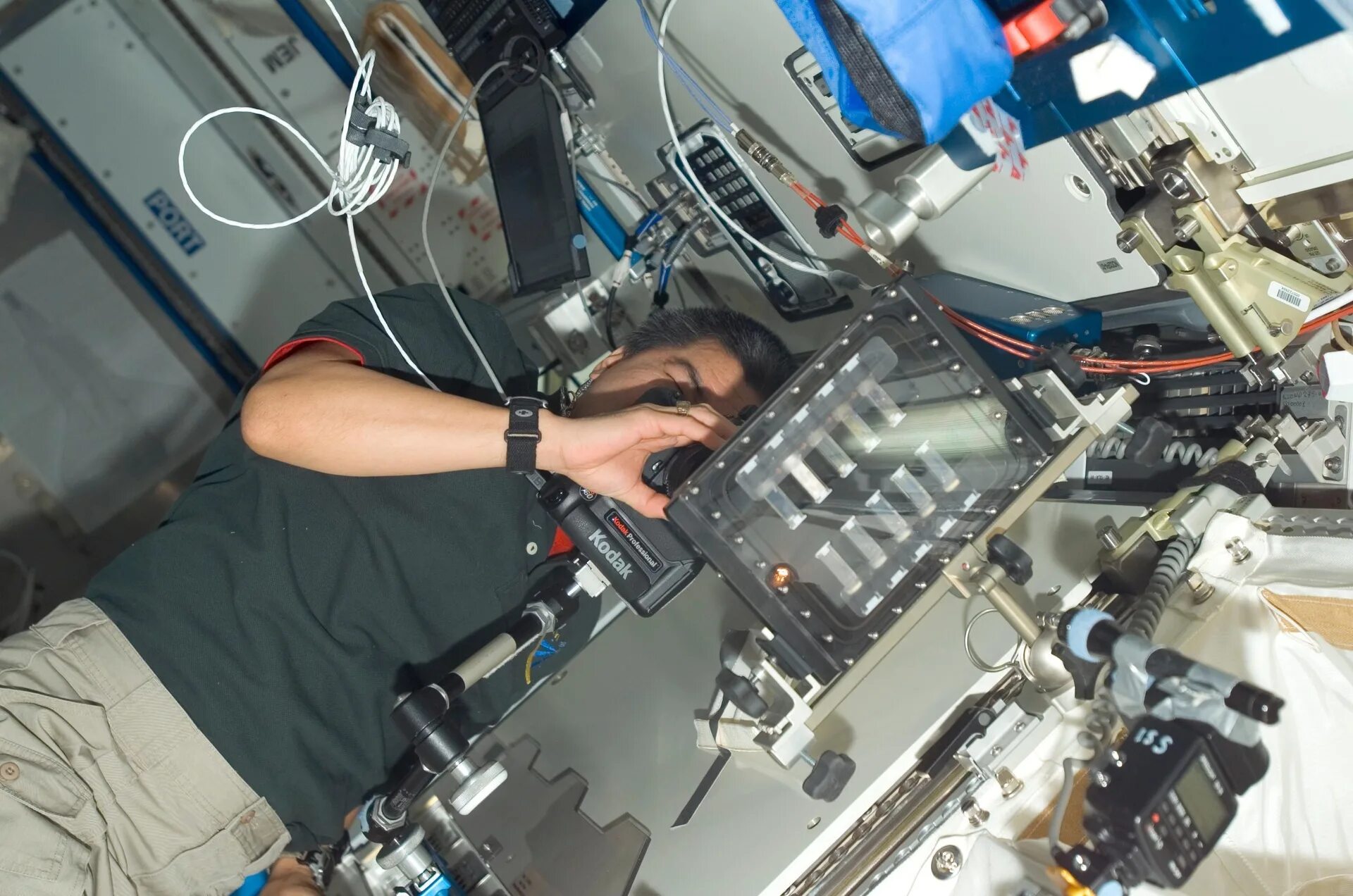 Международная космическая станция. Космонавт в космосе. Сураев в космосе. Альгометрия на мкс. Кардиовектор мкс.