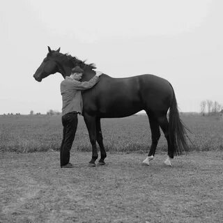 Horse manning