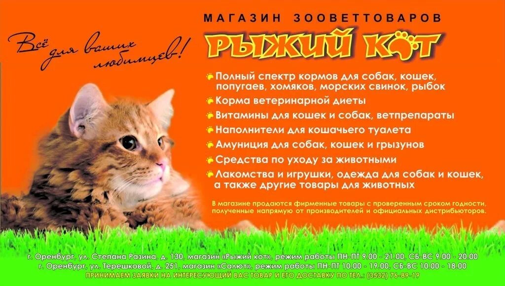 Кот оренбург телефон. Магазин зоотоваров рыжий кот. Рыжий кот фирма. Магазин рыжий котик. Рыжий кот интернет магазин.