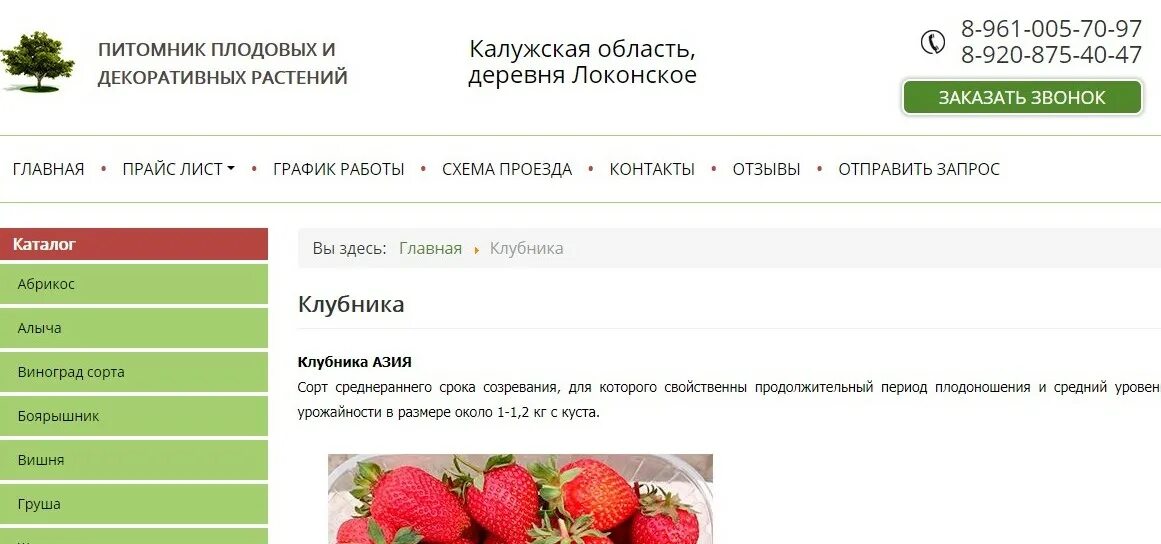 Сайт тимирязевского питомника калуга. Питомник тимирязевский калуга. растения тимирязева питомник калуга.
