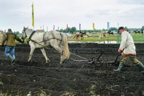 Тянуть плуг