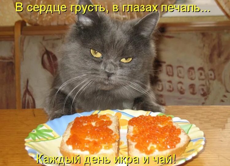 Не хочу ничего решать хочу новое платье и на ручки. Не хочу ничего решать хочу на ручки. Не хочу ничего продавать. Все ничего не хочу. Когда ничего не хочется.