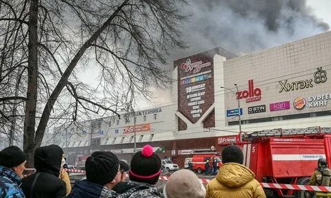 Зимняя вишня адрес
