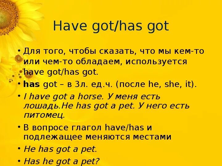 Правила have got. Have got правило. Have got has got правило. Правила have has got.