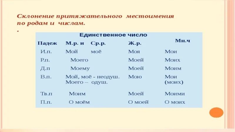 Мой просклонять по падежам. Склонение притяжательных местоимений. Определить род местоимений. Мой склонение по падежам.