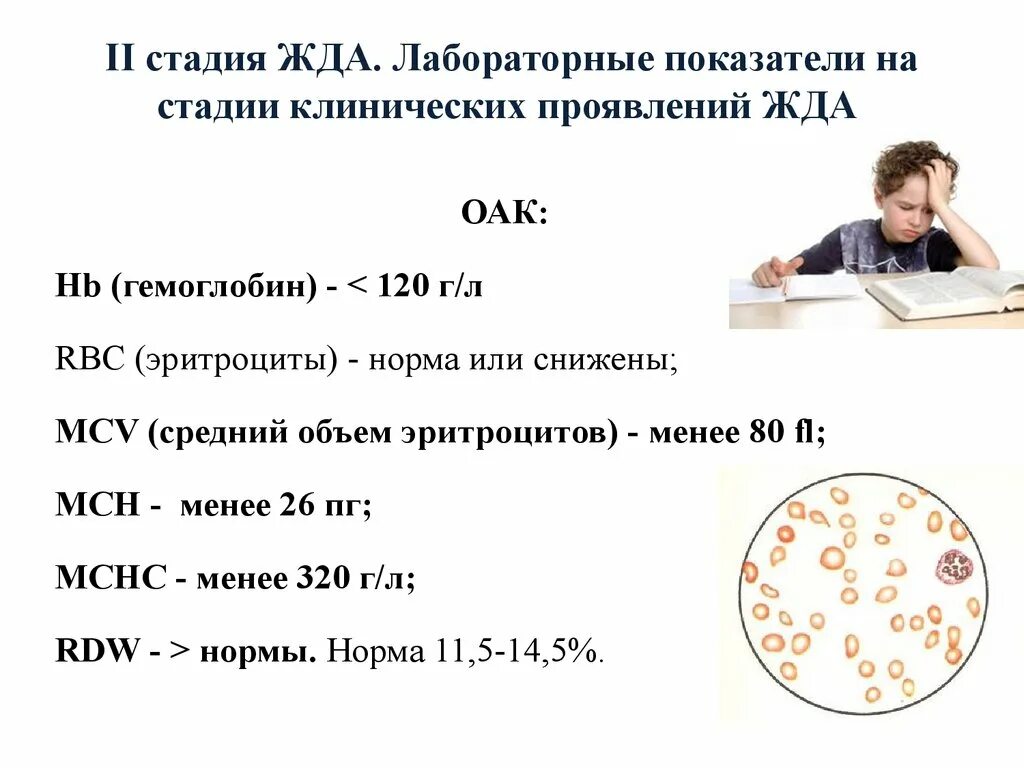 Железо дефицитная анемия. Анализы при жда 2 степени. Железодефицитная анемия лабораторные показатели. Жда лабораторные показатели. Гипохромная анемия лабораторные показатели.