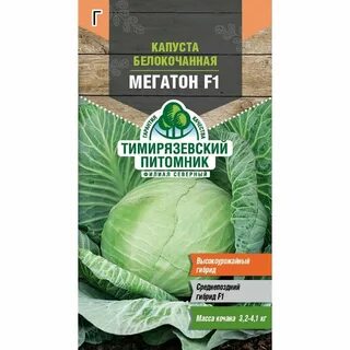 Капуста мегатон характеристика и описание отзывы