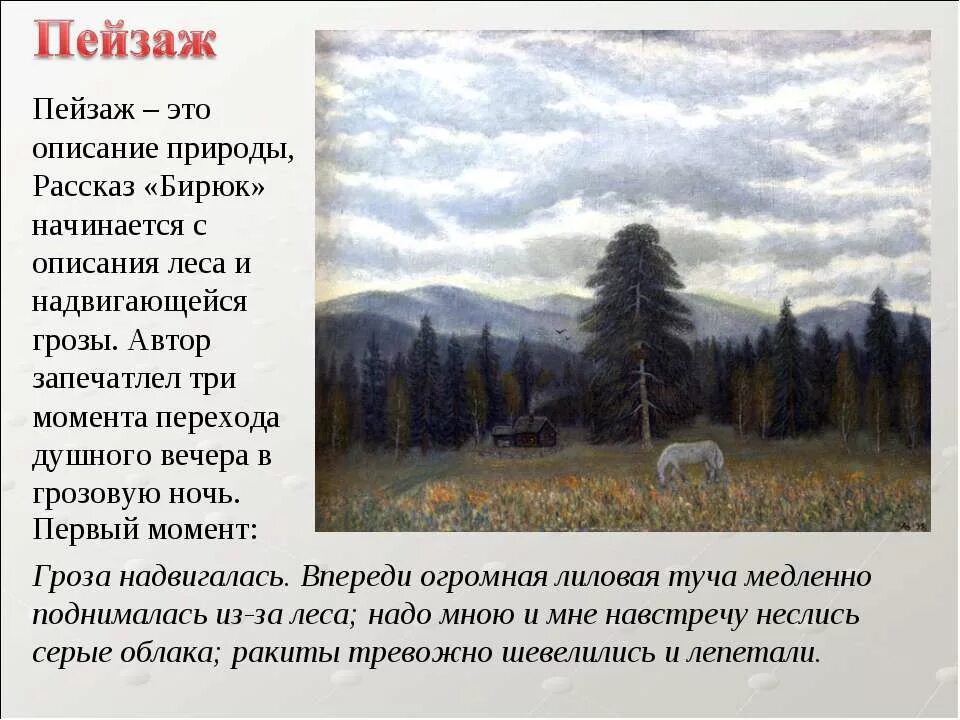 Бирюк пейзаж. Описание грозы в рассказе бирюк. Пейзаж в рассказе бирюк. Бирюк пейзаж. Рассказ гроза.