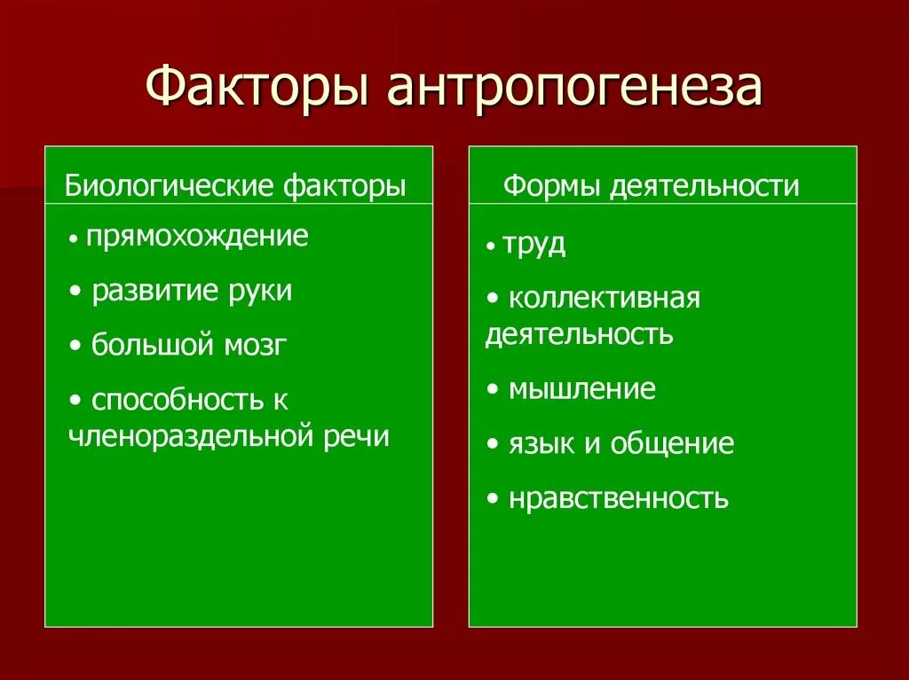 Факторы антропогенеза. Биологические факторы антропогенеза. Факторы антропогенеза биологические и социальные. Биосоциальные факторы антропогенеза. К социальным факторам антропогенеза относятся