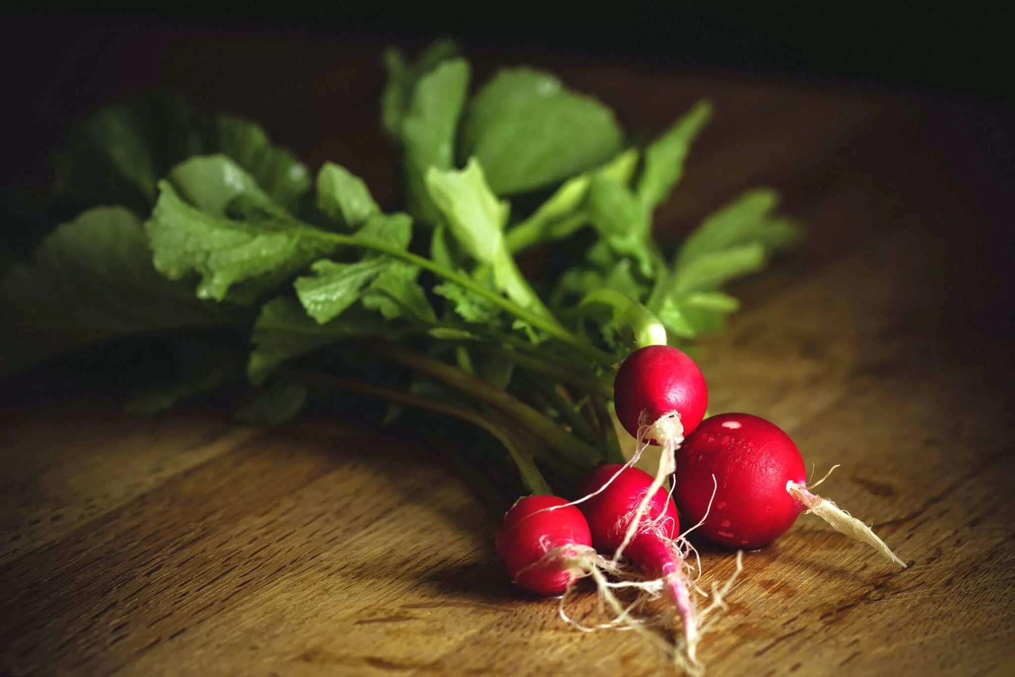 Редис крестоцветное растение. Редис геншир. Редис дунганский. Редис вюрцбургский 59. Редис красный.