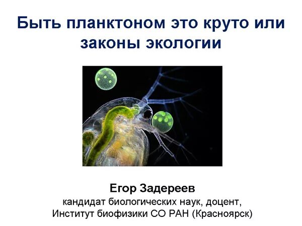 Что такое планктон биология 5 класс кратко. Экологическая группа планктон. что такое планктон кратко. планктон это в экологии. планктон примеры организмов.