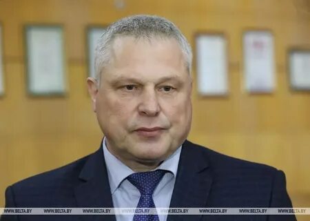 Директор витязь