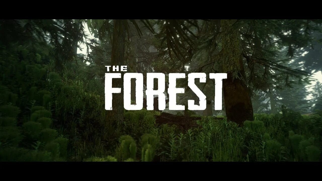Forest ошибка. The forest логотип. the forest лес. форест стрим. the forest стрим.