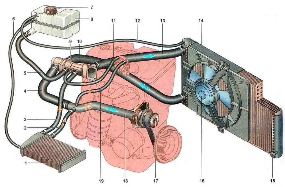 Почему греется радиатор. Вентилятор охлаждения ВАЗ 2112 16 клапанов. Вентилятор системы охлаждения ВАЗ-2112. Вентилятор ВАЗ 2112 16 клапанов. Система охлаждения ВАЗ 2110 16 клапанов.