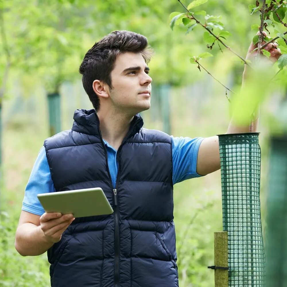 Consider the environment. Environmental officer. environmental health and safety officer.