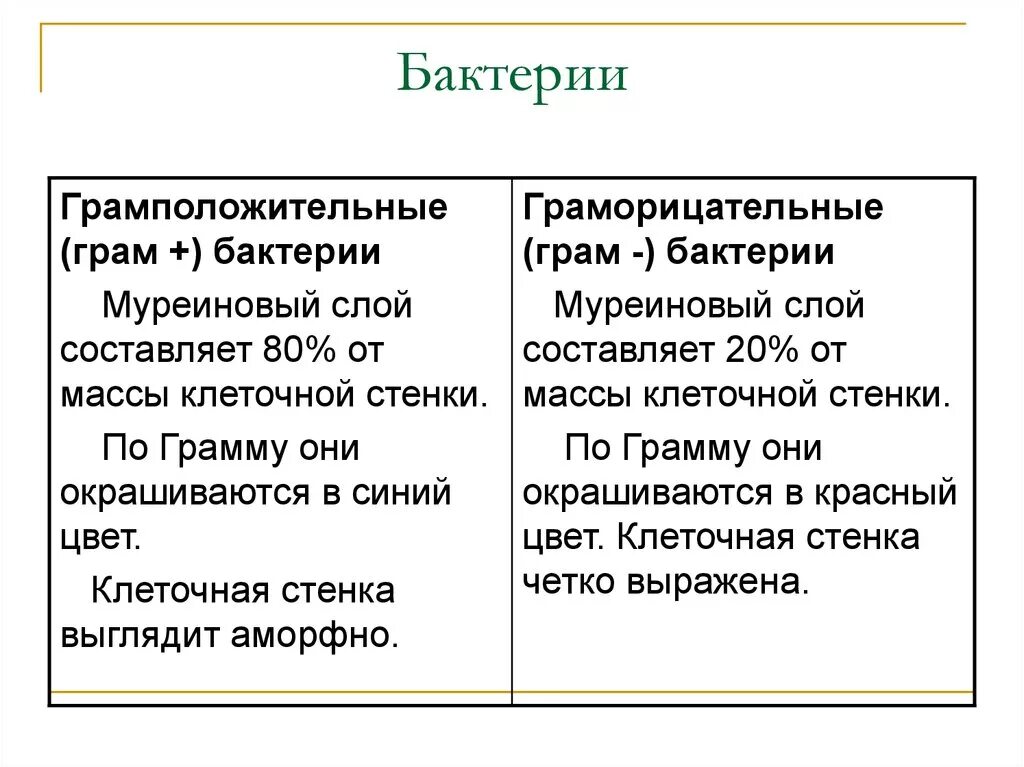 Положительные и отрицательные разницы. Различия в структуре грамположительных и грамотрицательных бактерий. Грамм положительные и грамм отрицательные бактерии отличия. Грамм положительные и грамм отрицательные бактерии. Грамположительные и грамотрицательные бактерии отличия.