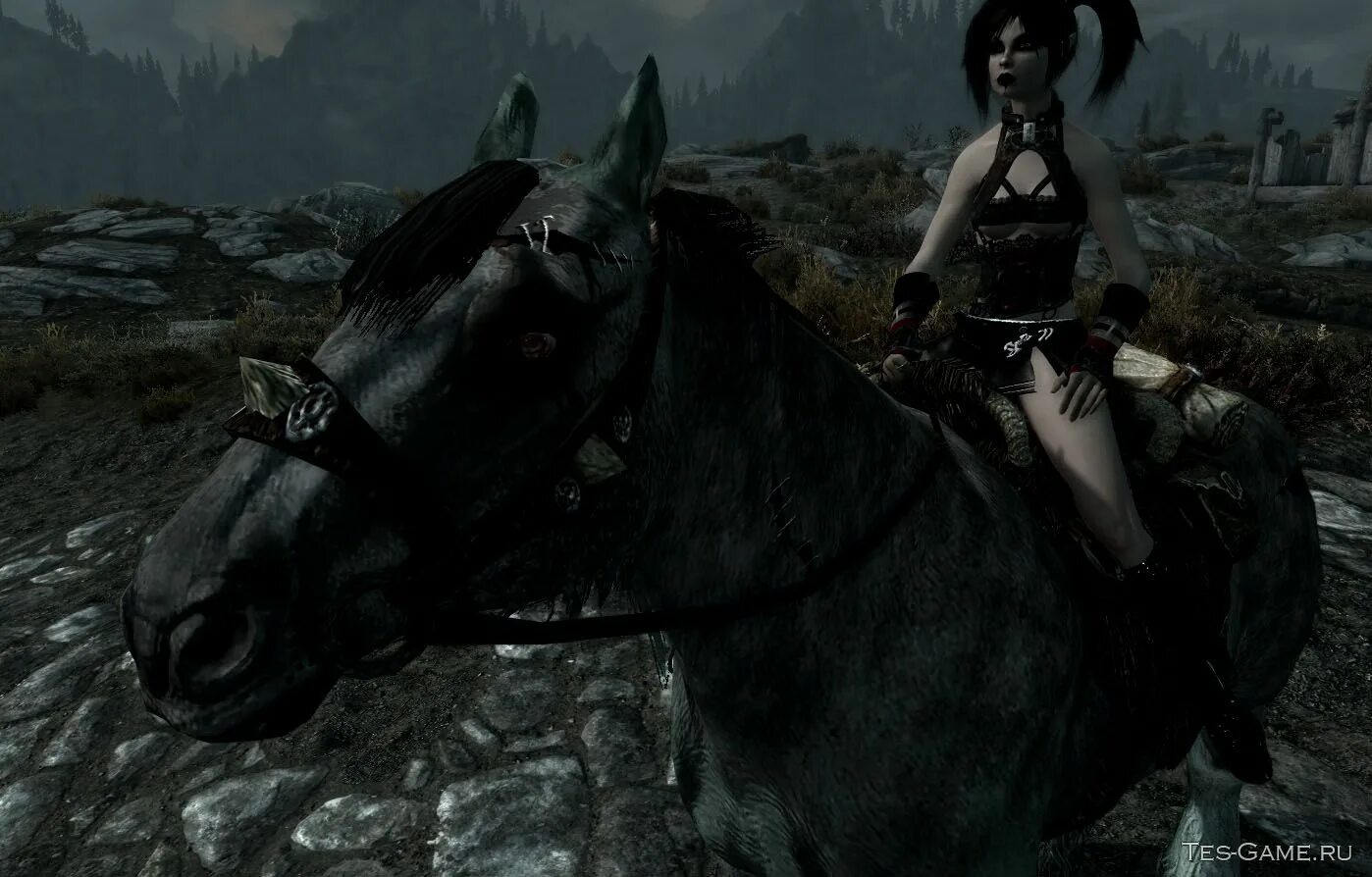 Скайрим мод ездовые. Теневая грива скайрим. скайрим мод конь. мороз скайрим. skyrim se тенегрив мод.