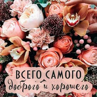 Доброе день стильные картинки с надписями