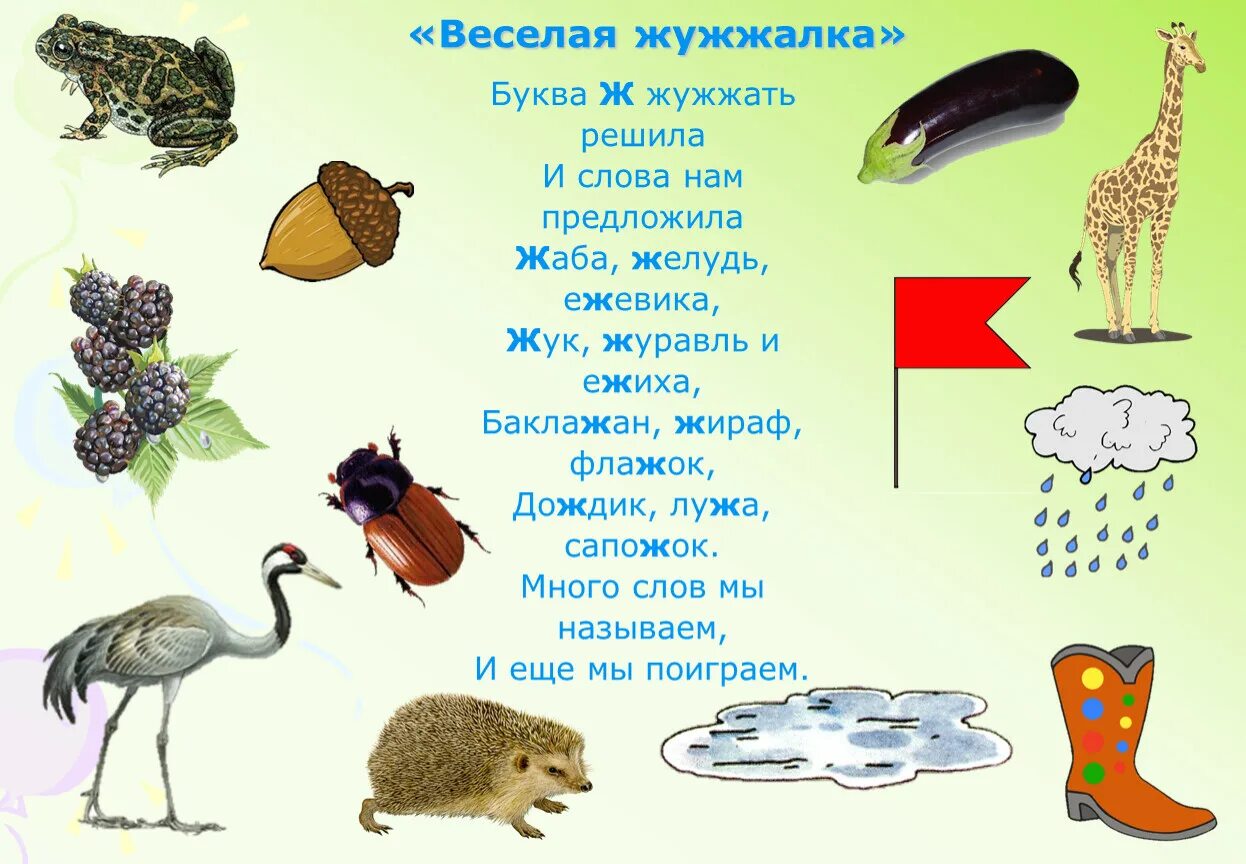 Автоматизация звука ж. Автоматизация звука ж в словах. Слова со звуком ж для детей. Автоматизация звука ж в предложениях. Лова на д