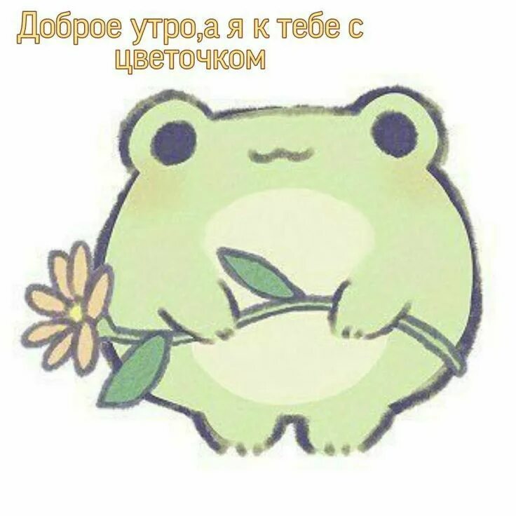 Aesthetic Frog/mushroom, and Dinosaur wallpaper! in 2022 Frog wallpaper, Frog dr