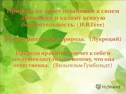 Каждый должен заниматься