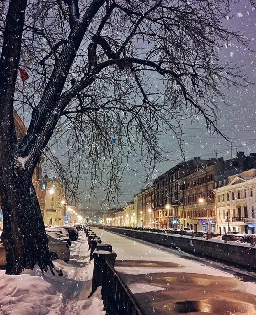 Спб в декабре. Санкт-Петербург зима. Санкт-Петербург зимой. Зимний город. Заснеженный Петербург.