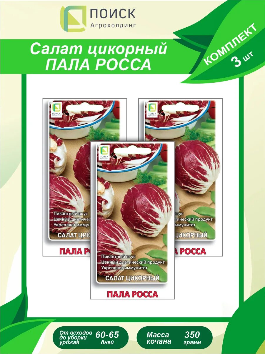 Пала росса. Цикорный пала Росса. Салат цикорный пала Росса. Цикорный салат пала Росса вкус. Салат цикорный диетический.