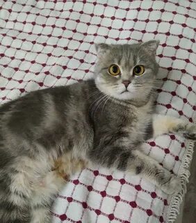 Авито волжский в добрые
