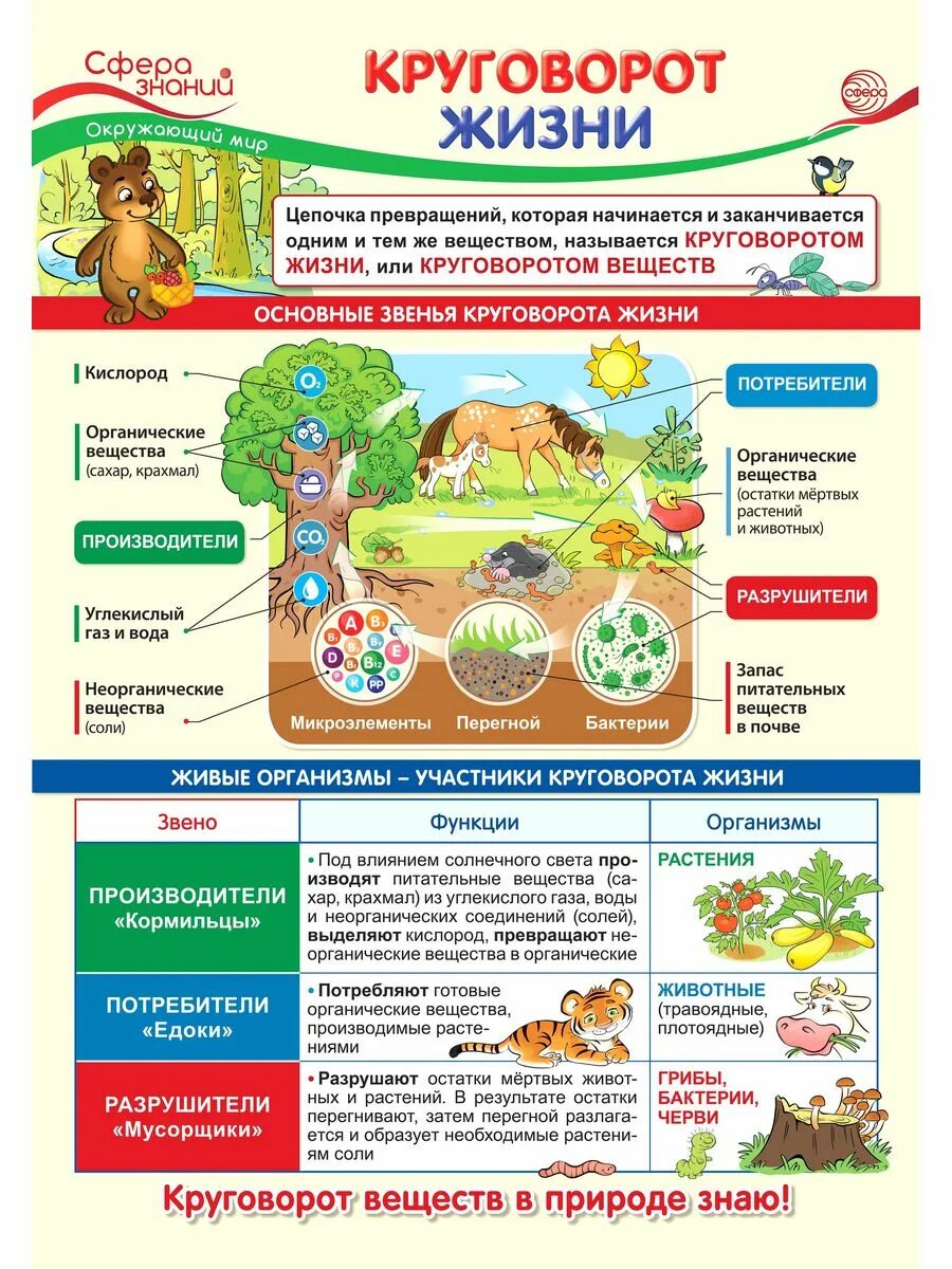 Плакат окружающий мир. Плакаты по окружающему миру для начальной школы. Плакат круговорот жизни. Плакаты сфера знаний. Плакат сфера