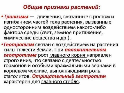 Тропизм