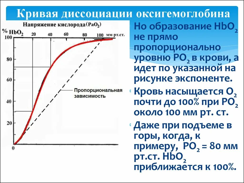 Части кривой