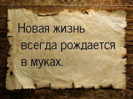 Увидеть непременно ненавистная