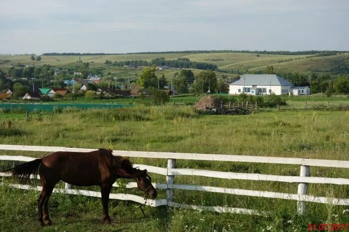 Башкортостан продам. Башкортостан продам